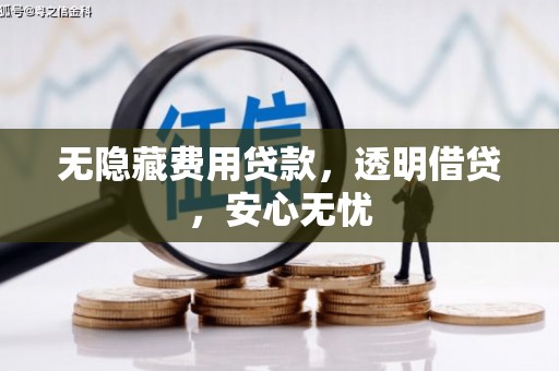 庐江无隐藏费用贷款，透明借贷，安心无忧