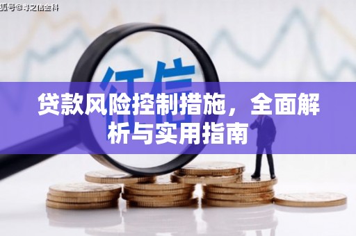 庐江贷款风险控制措施，全面解析与实用指南