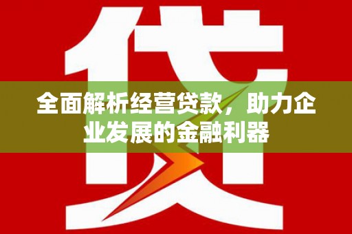 庐江全面解析经营贷款，助力企业发展的金融利器
