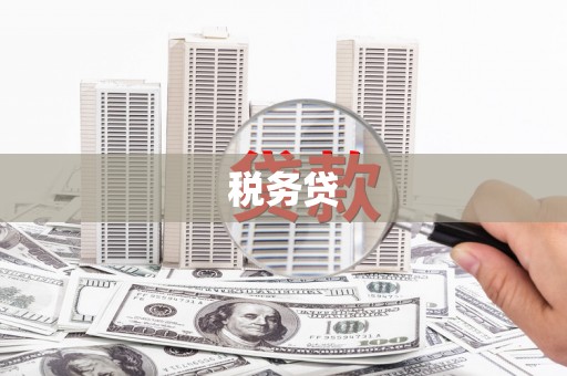 庐江税务贷