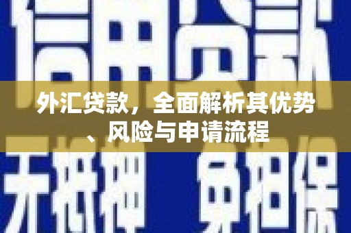 庐江外汇贷款，全面解析其优势、风险与申请流程