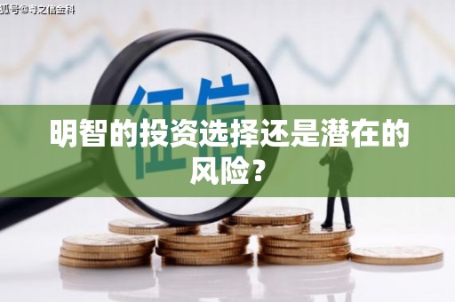 庐江明智的投资选择还是潜在的风险？