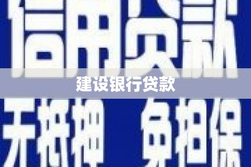 庐江建设银行贷款