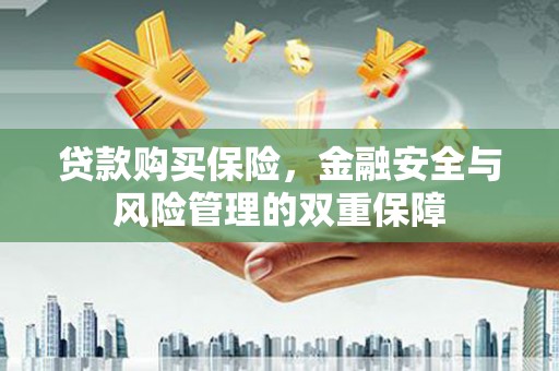 庐江贷款购买保险，金融安全与风险管理的双重保障