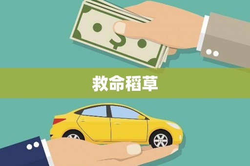 庐江救命稻草