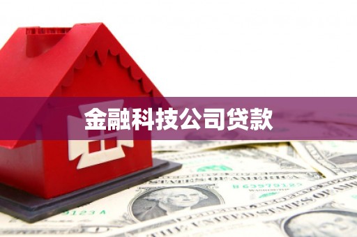 庐江金融科技公司贷款
