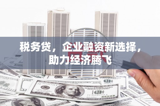 庐江税务贷，企业融资新选择，助力经济腾飞