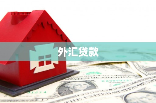 庐江外汇贷款