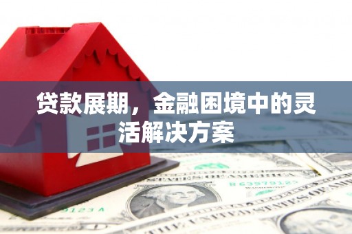 庐江贷款展期，金融困境中的灵活解决方案