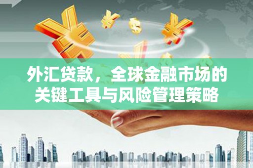 庐江外汇贷款，全球金融市场的关键工具与风险管理策略
