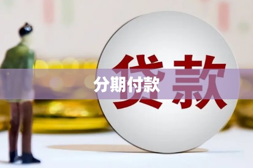 庐江分期付款