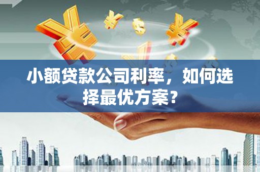 庐江小额贷款公司利率，如何选择最优方案？