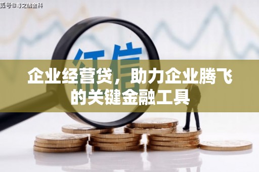 庐江企业经营贷，助力企业腾飞的关键金融工具