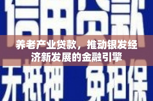 庐江养老产业贷款，推动银发经济新发展的金融引擎
