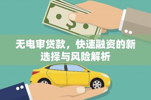 庐江无电审贷款，快速融资的新选择与风险解析
