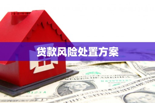 庐江贷款风险处置方案
