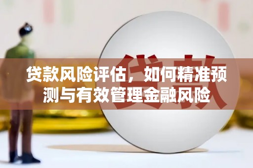 庐江贷款风险评估，如何精准预测与有效管理金融风险