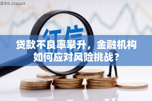 庐江贷款不良率攀升，金融机构如何应对风险挑战？