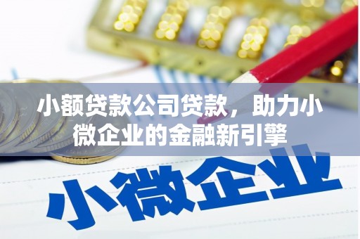 庐江小额贷款公司贷款，助力小微企业的金融新引擎