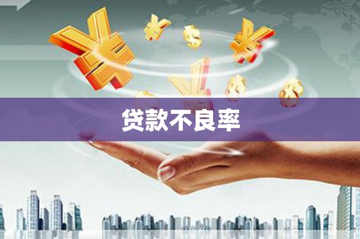 庐江贷款不良率