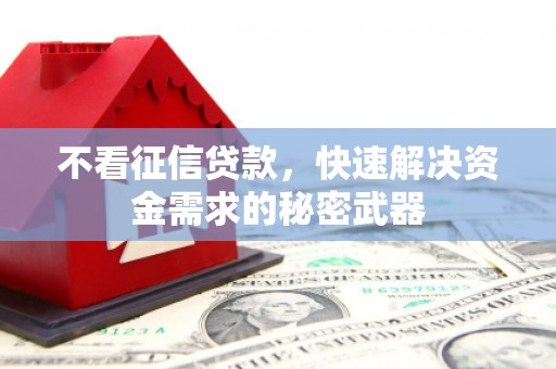 庐江不看征信贷款，快速解决资金需求的秘密武器