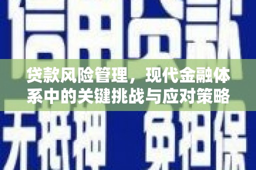 庐江贷款风险管理，现代金融体系中的关键挑战与应对策略