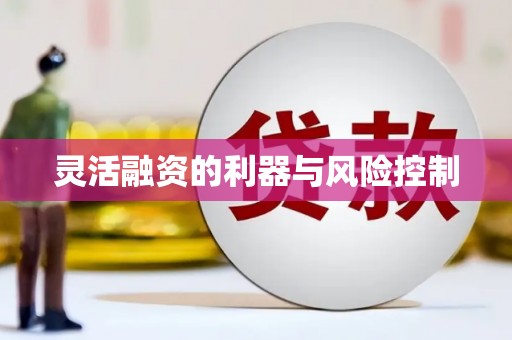 庐江灵活融资的利器与风险控制