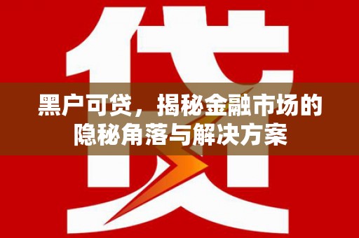 庐江黑户可贷，揭秘金融市场的隐秘角落与解决方案