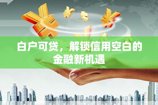 庐江白户可贷，解锁信用空白的金融新机遇