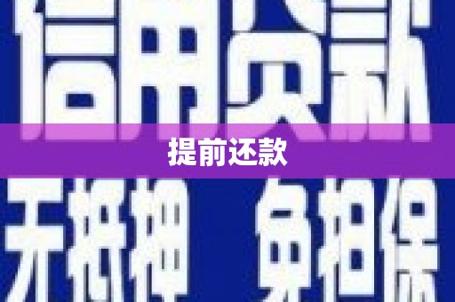 庐江提前还款