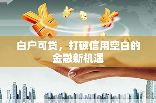 庐江白户可贷，打破信用空白的金融新机遇