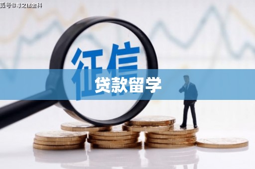 庐江贷款留学