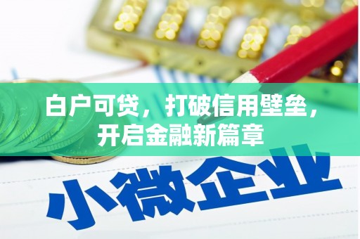 庐江白户可贷，打破信用壁垒，开启金融新篇章