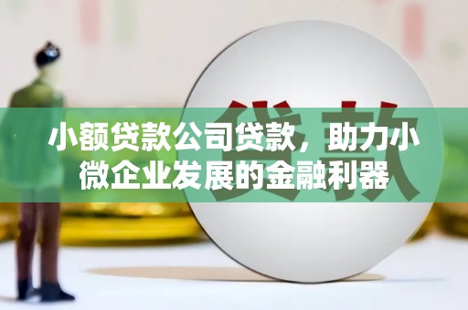 庐江小额贷款公司贷款，助力小微企业发展的金融利器
