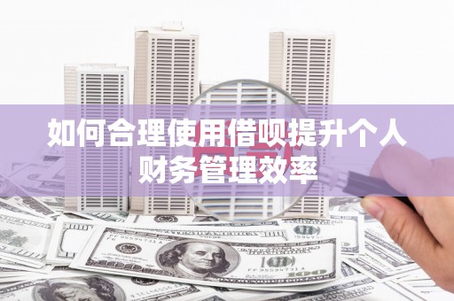 庐江如何合理使用借呗提升个人财务管理效率
