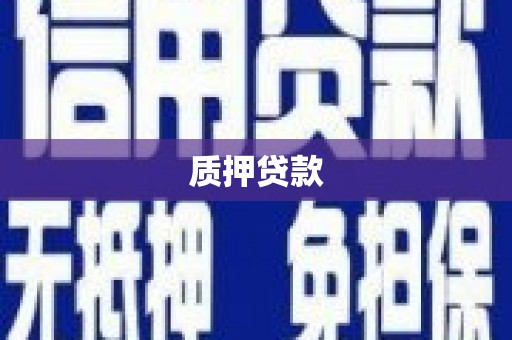 庐江质押贷款