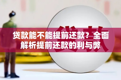 庐江贷款能不能提前还款？全面解析提前还款的利与弊