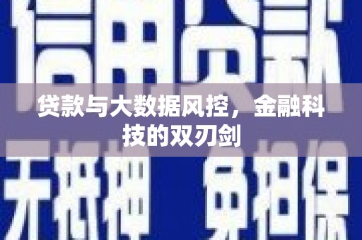 庐江贷款与大数据风控，金融科技的双刃剑