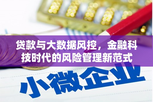 庐江贷款与大数据风控，金融科技时代的风险管理新范式