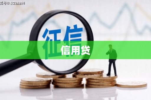 庐江信用贷