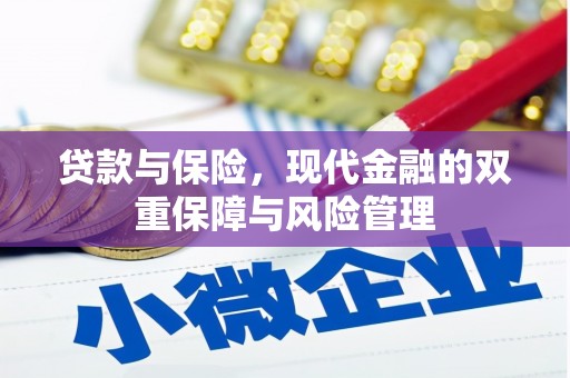 庐江贷款与保险，现代金融的双重保障与风险管理
