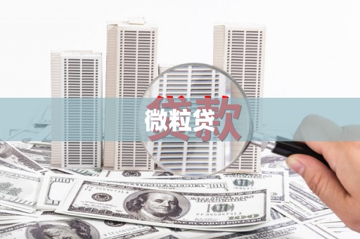 庐江微粒贷