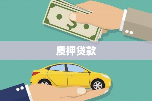 庐江质押贷款