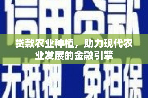 庐江贷款农业种植，助力现代农业发展的金融引擎