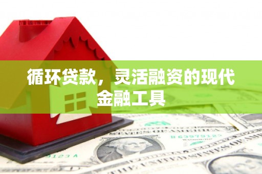 庐江循环贷款，灵活融资的现代金融工具