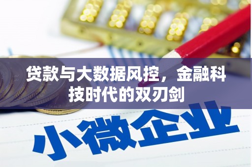 庐江贷款与大数据风控，金融科技时代的双刃剑