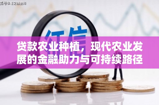 庐江贷款农业种植，现代农业发展的金融助力与可持续路径