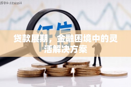 庐江贷款展期，金融困境中的灵活解决方案