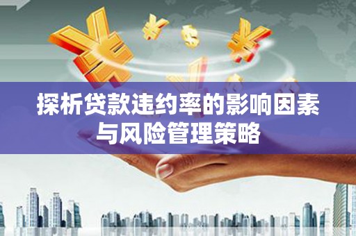 庐江探析贷款违约率的影响因素与风险管理策略