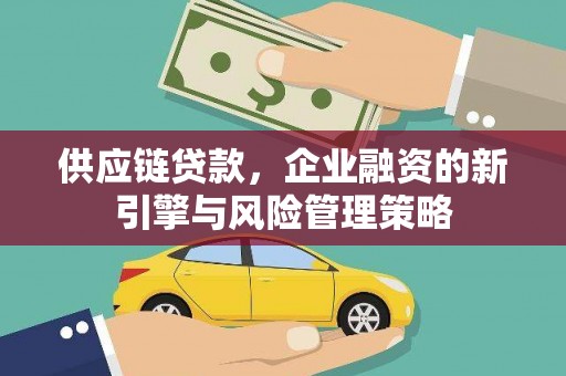 庐江供应链贷款，企业融资的新引擎与风险管理策略